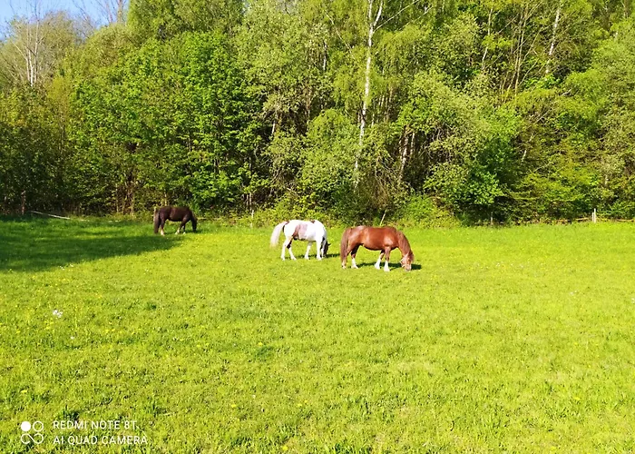 Penzion Selsky Dvur Raspenava