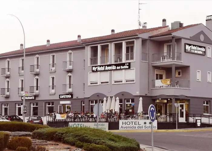 Hotel Avenida del Sotillo