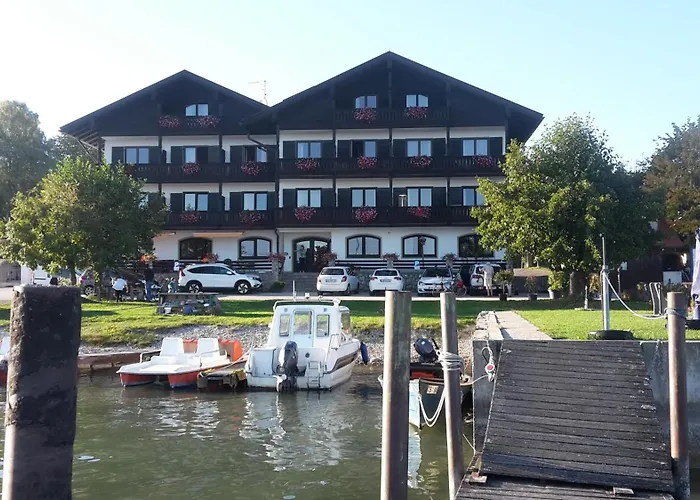 Grünäugl Am