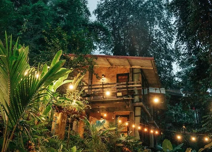 Bee Forest Ban Pok Nai