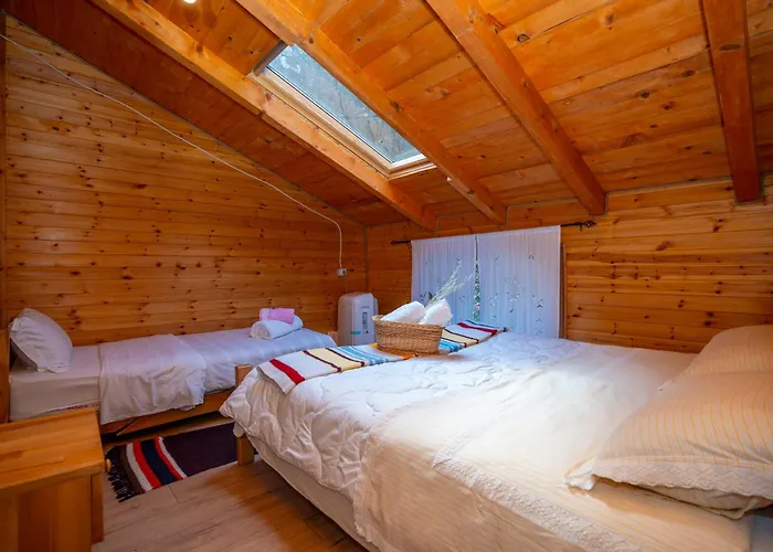 Bee Eco Guest House Moll' e Shoshit