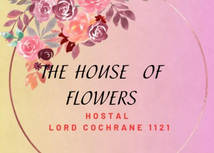 The House Of Flowers Osorno