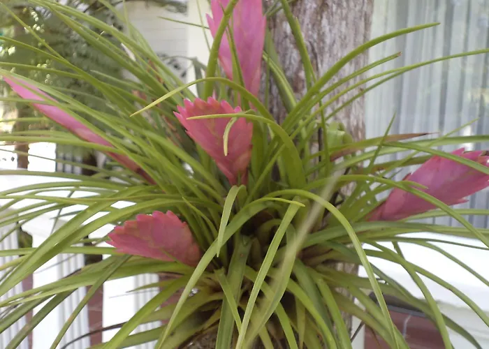 St. Lucia Wetlands Guest House