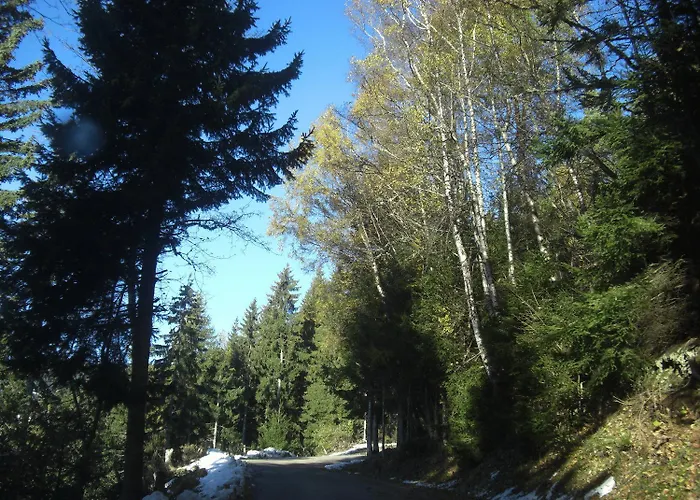 Gasthof Laggner Steindorf am Ossiacher See