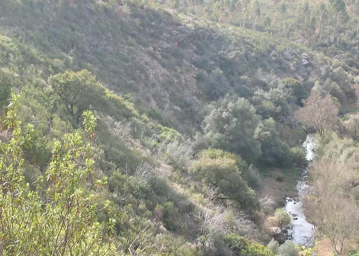 Herdade Do Rio Torto Portel
