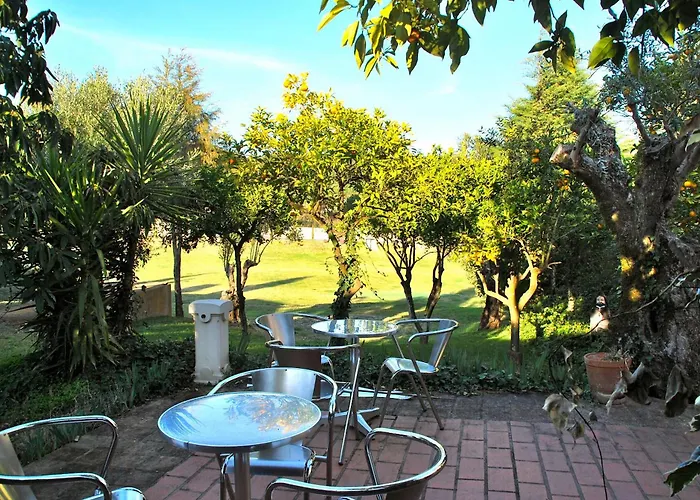 Quinta De Santa Barbara By Heavens Sleepy Hotel Constância