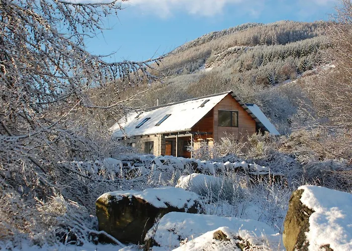 The Steading