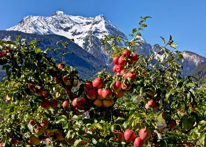 Gästehaus Oblasser Mayrhofen
