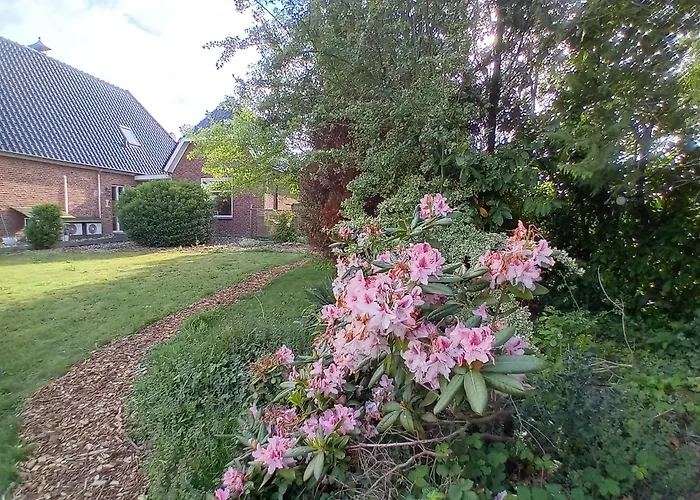 Bed & Breakfast In Ons Bakhuis
