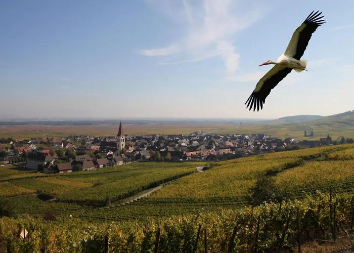 Les Chambres Du Vignoble