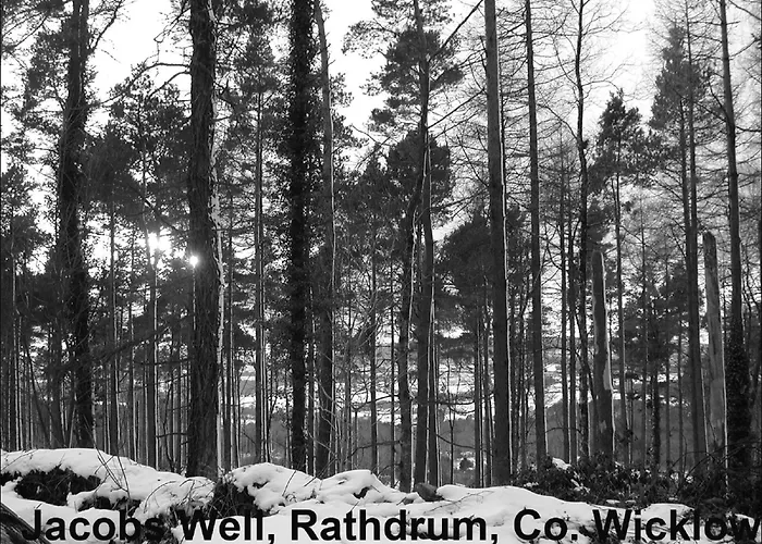 Jacob'S Well Hotel Rathdrum