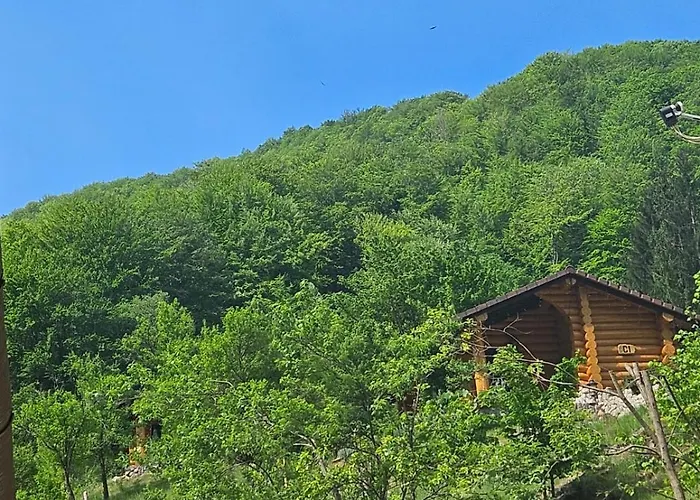 Pensiunea Lupul Dacic Costeşti