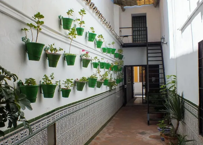 Patio Cordobes