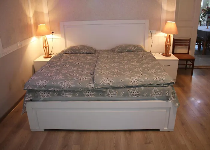 Guesthouse Levani Gori