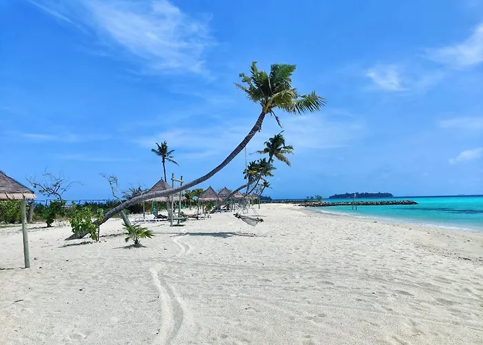 Palm Lagoon