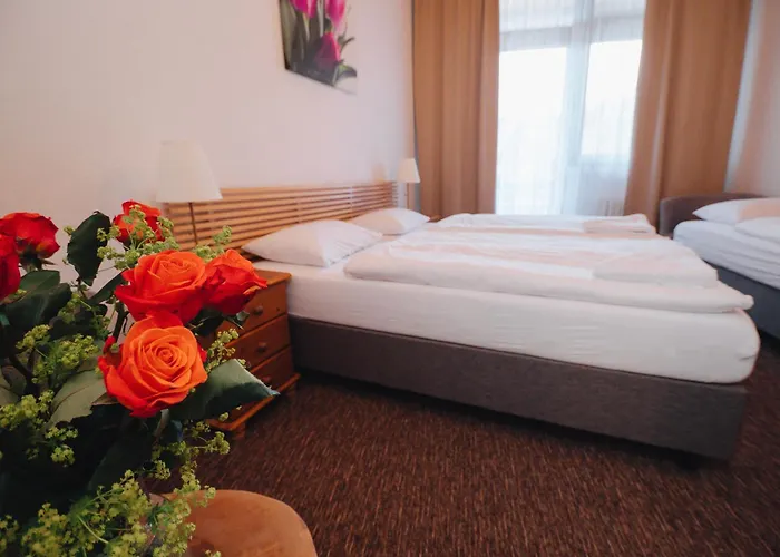 Pension Mona Harrachov