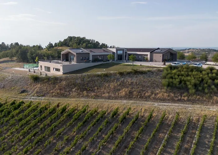 ORIZZONTI Vigneti Repetto
