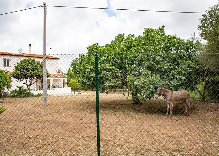 Villa del Lupo Santa Maria la Palma