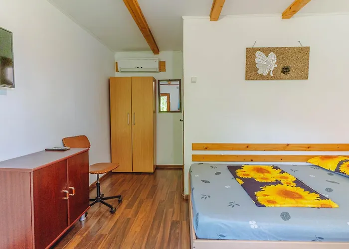 Hotel Casa Dexter Vama Veche