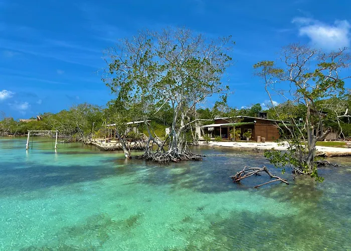 Medusa Hostel Isla Tintipan
