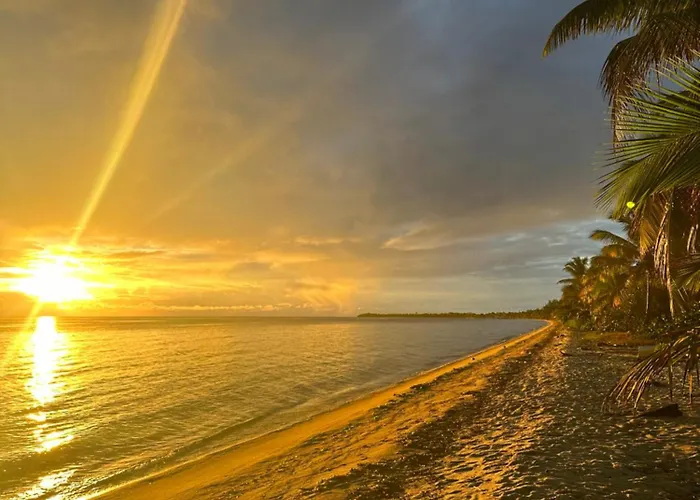 All Seasons Belize Hopkins