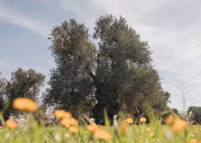 Masseria San Lorenzo Resort