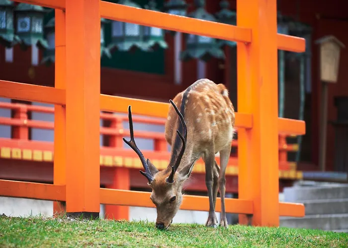 Jw Marriott Hotel Nara