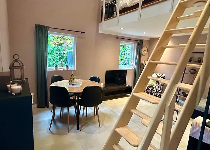 B&B In de aap gelogeerd Apeldoorn