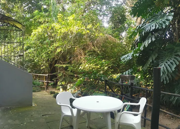 Bush Cottage