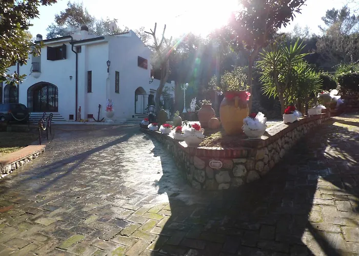 Fondazione Villa Point Onlus