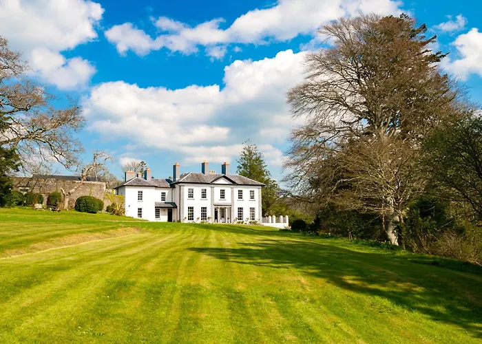 Plas Llangoedmor