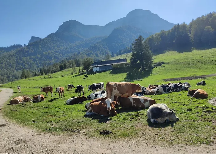 Pension Holzapfel Sankt Georgen im Attergau