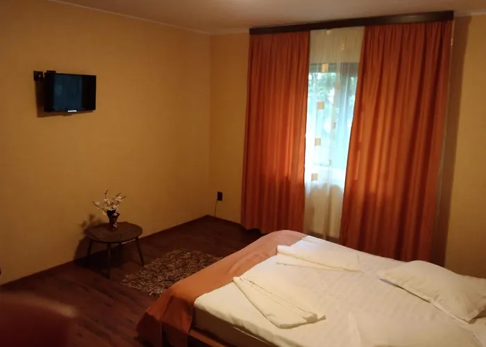 Hotel Pietrele Doamnei Pojorîta