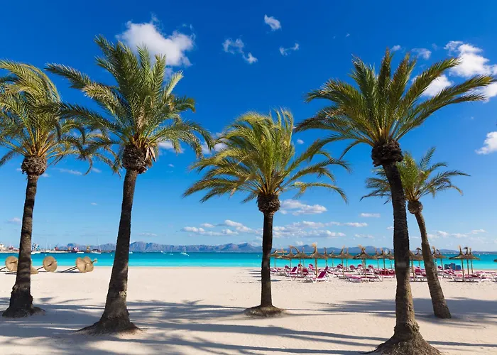 Alcudia Garden Aparthotel