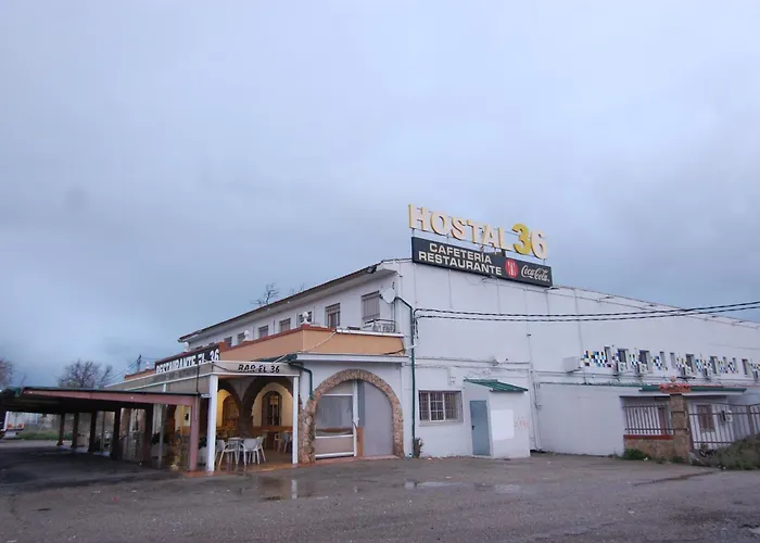 El Hostal 36 Seseña Nuevo