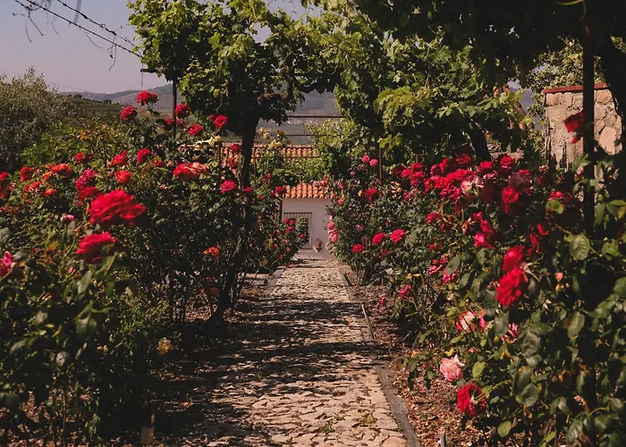 Casal De Tralhariz - Douro Valley