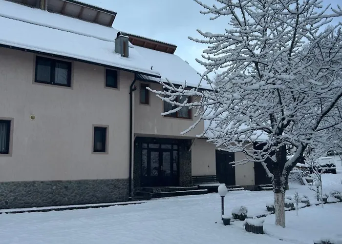 Pensiunea La Catalina Borşa