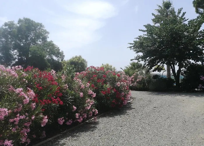A l'Orée Des Vignes Montady