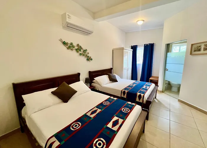 Bubali Gardens - Eagle Beach'S Oasis Noord