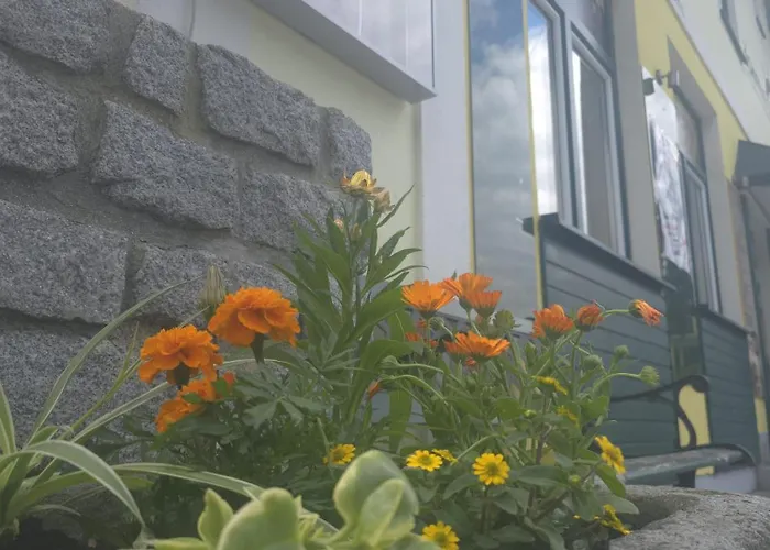 Gasthof zum Schiffmeister