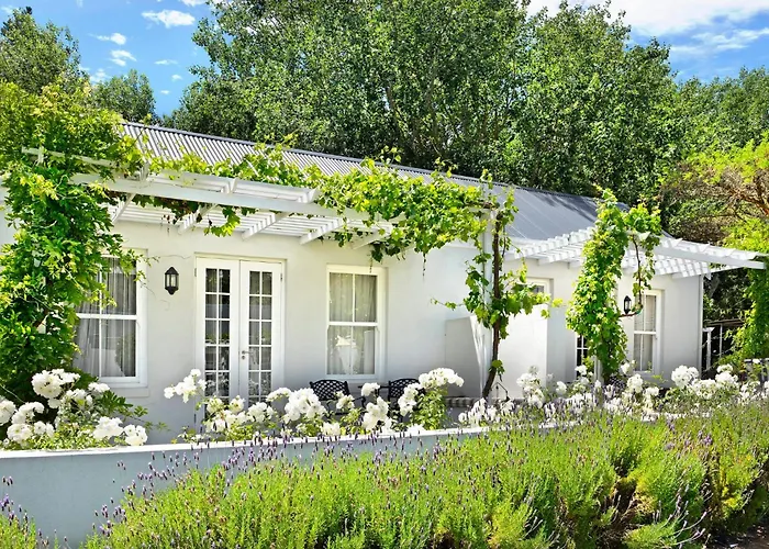 Lavender Farm Boutique Guest House Franschhoek