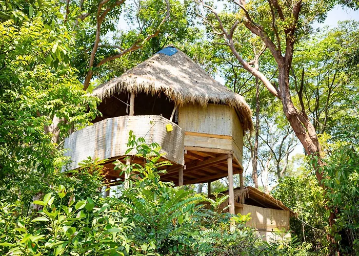 Kactus - Your Island Sanctuary