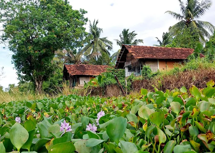 Lake Cabin Polonnaruwa