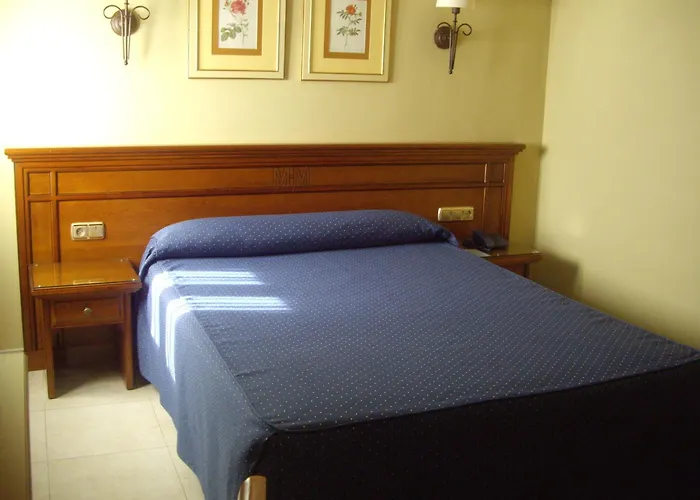 Hotel Manolo Mayo
