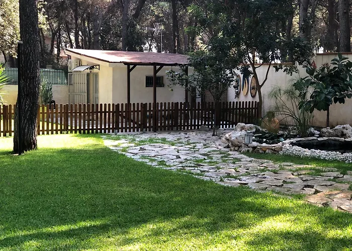 Bungalow Fatamorgana
