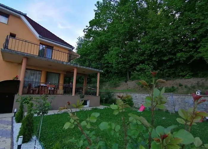 Hotel Casa Teodora Băile Felix