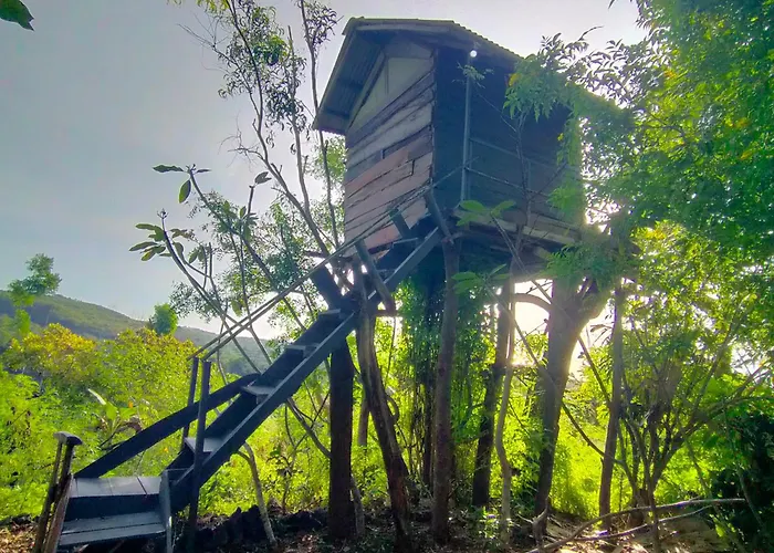 Rumah Pohon