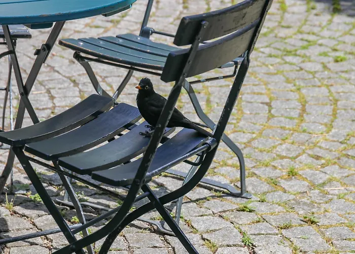Pension Katzensprung Passau