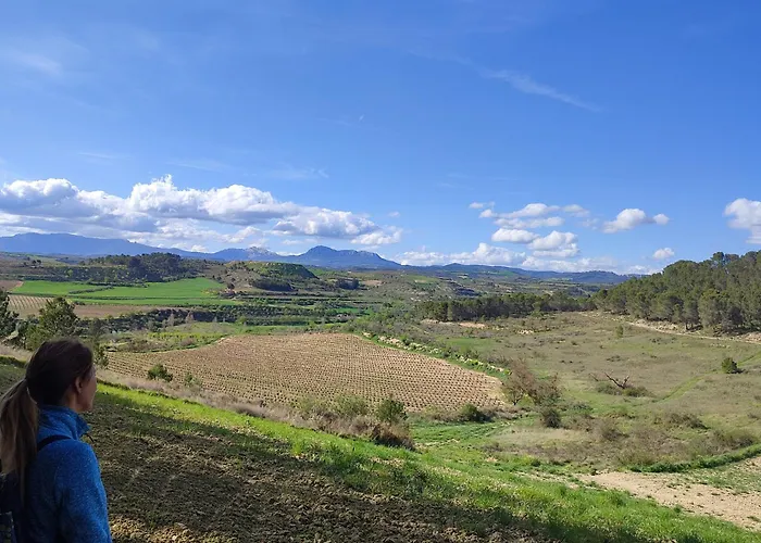 Casa palaciega Doña Leocadia Viana 