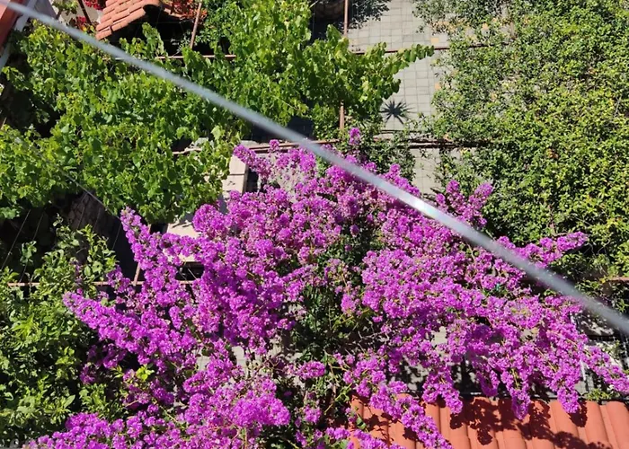 Hotel Dalmati House Brodarica 